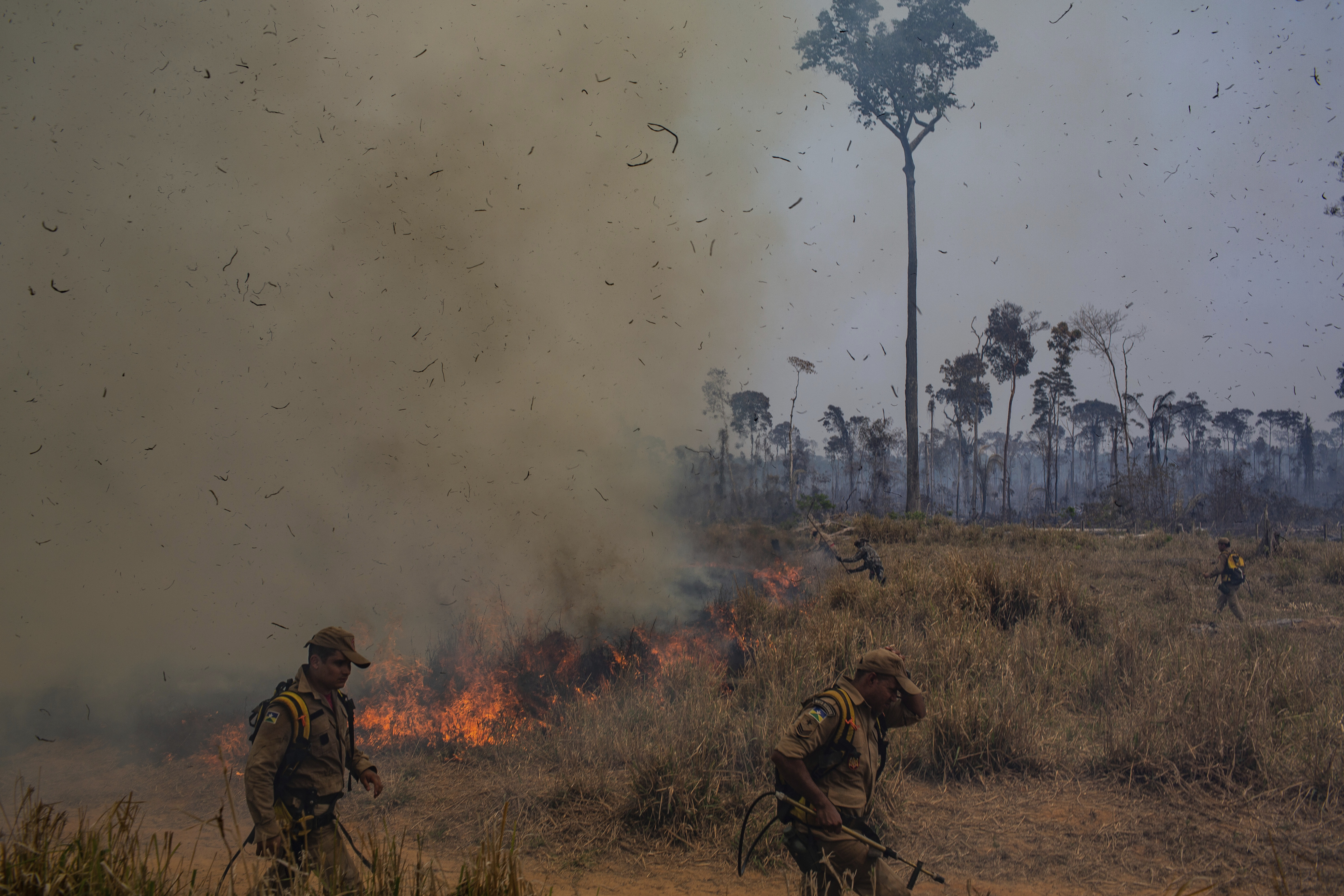 Élections au Brésil. Dernière chance pour éviter la “tragédie des communs” en forêt amazonienne ?