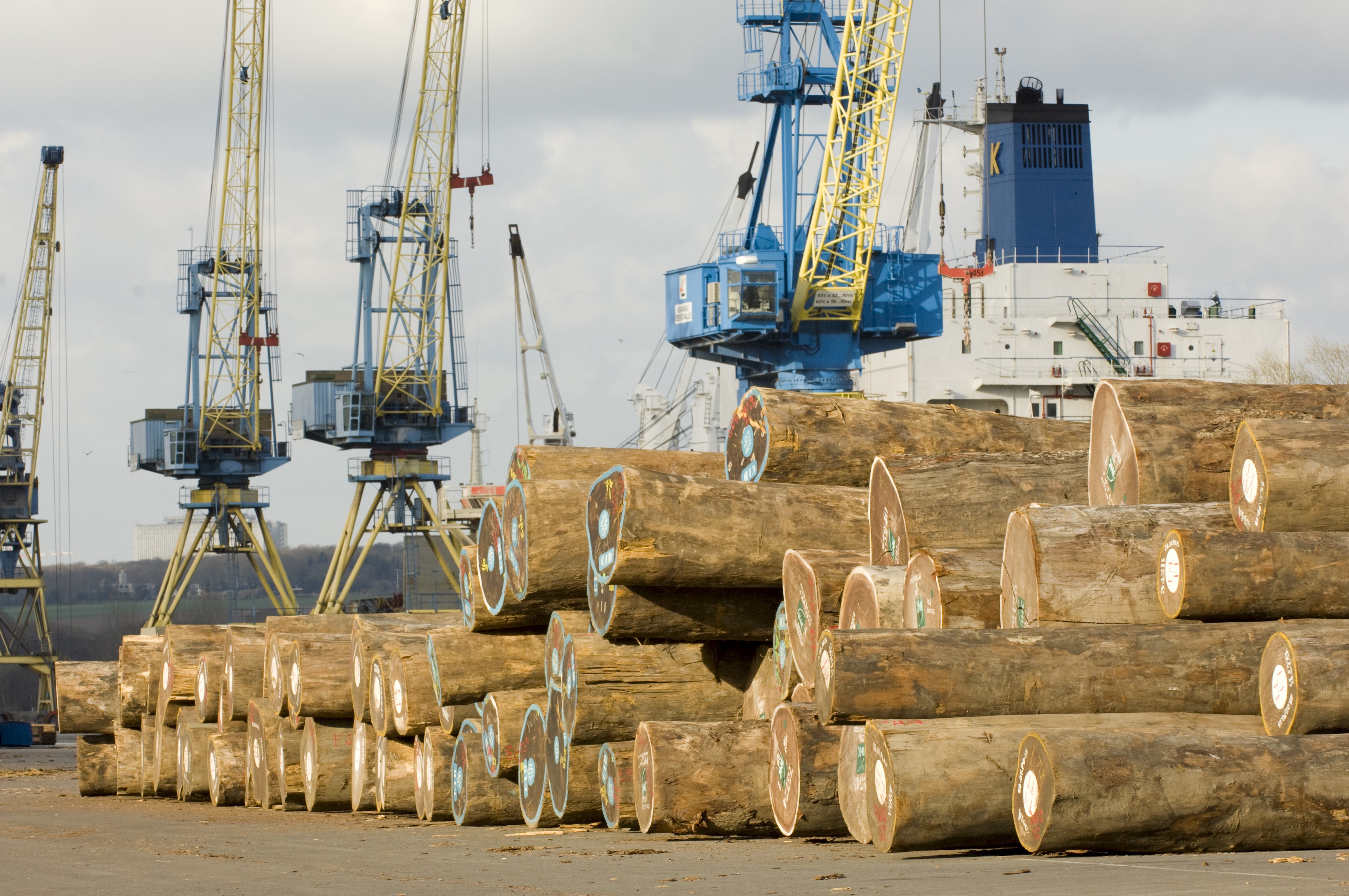 Comment les entreprises s’adaptent aux réglementations de l’UE sur la déforestation