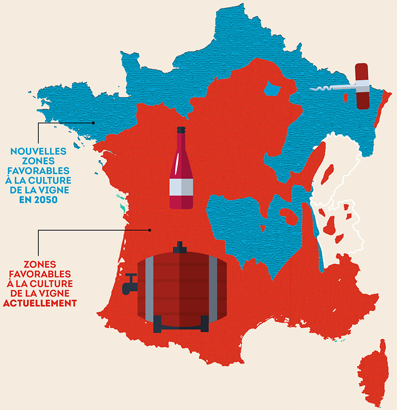 Zone de la culture de vigne en France