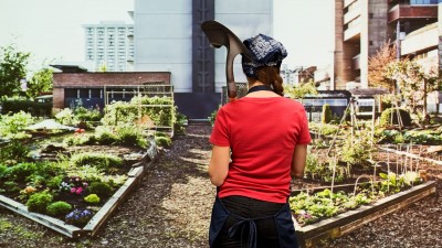 Job du futur ? Agriculteur urbain