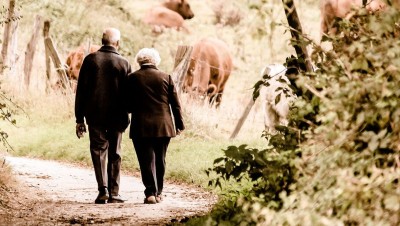 Les retraités sont-ils moins bien lotis que les actifs ? En moyenne, c'est faux !