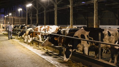 Déséquilibre offre-demande, inflation des coûts... Pourquoi le prix du lait atteint des sommets