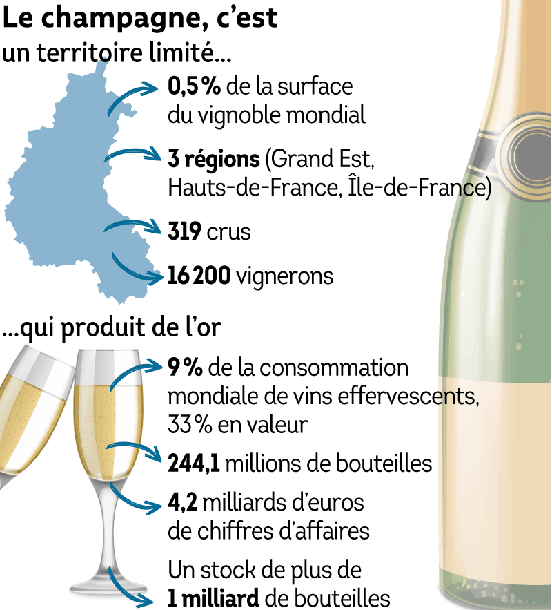 Analyse coût bouteille champagne