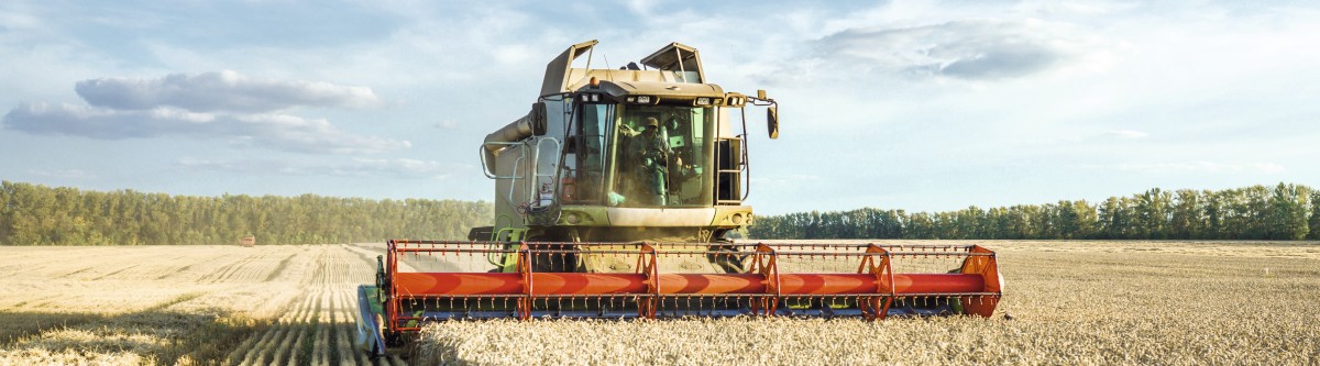 La Russie, de pays importateur à superpuissance mondiale exportatrice du blé
