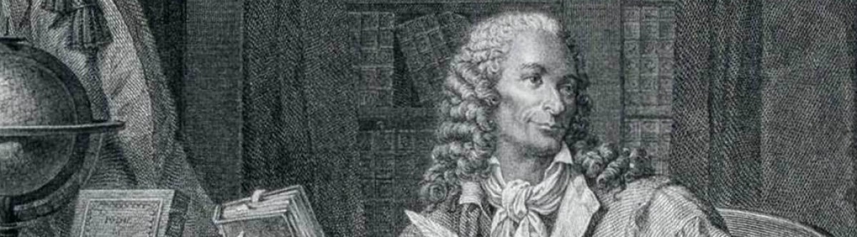 Théorie du ruissellement : Voltaire, militant décomplexé de la première heure
