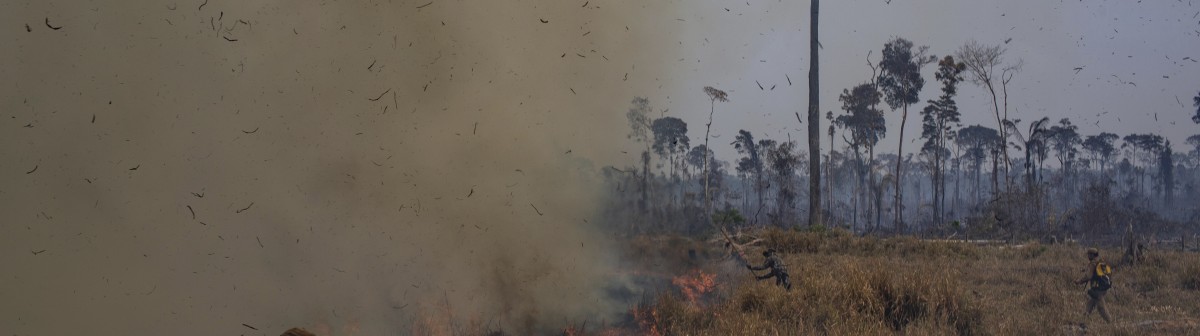 Élections au Brésil. Dernière chance pour éviter la “tragédie des communs” en forêt amazonienne ?
