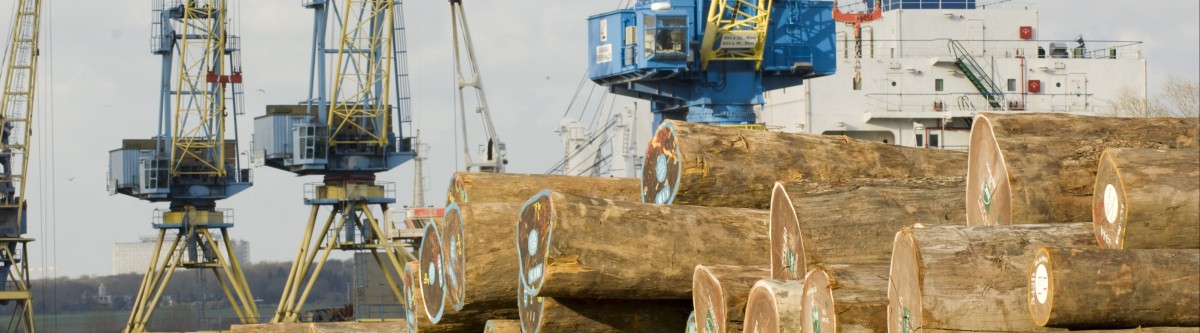 Comment les entreprises s’adaptent aux réglementations de l’UE sur la déforestation
