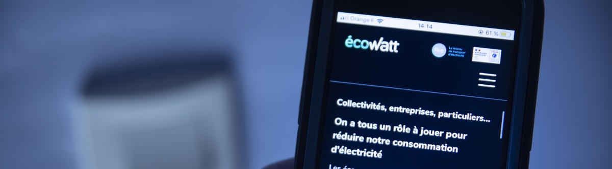 L’application Ecowatt pourrait-elle provoquer des prophéties autoréalisatrices ?
